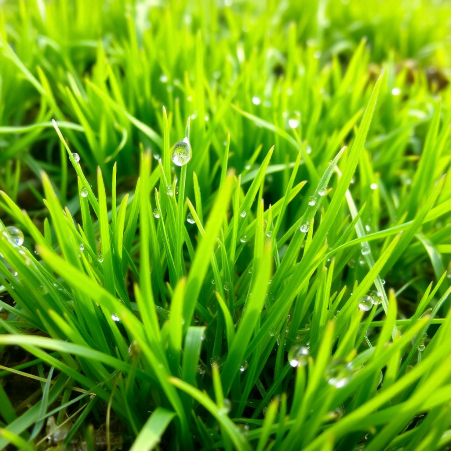 

<!-- THEME DEBUG --><!-- THEME HOOK: 'field' --><!-- FILE NAME SUGGESTIONS:
   ▪️ field--paragraph--field-title--image-and-text.html.twig
   ▪️ field--paragraph--field-title.html.twig
   ▪️ field--paragraph--image-and-text.html.twig
   ▪️ field--field-title.html.twig
   ▪️ field--string.html.twig
   ✅ field.html.twig
--><!-- 💡 BEGIN CUSTOM TEMPLATE OUTPUT from 'themes/basic-master/templates/field/field.html.twig' -->


              Servizio completo chiavi in mano
    
<!-- END CUSTOM TEMPLATE OUTPUT from 'themes/basic-master/templates/field/field.html.twig' -->

